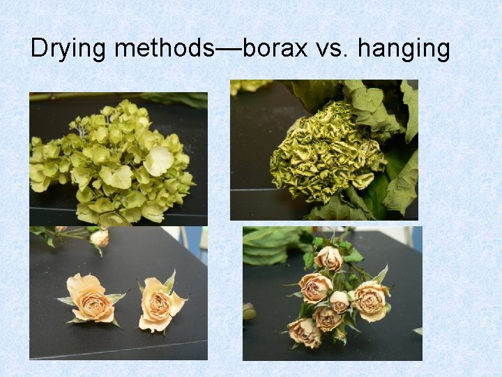 Drying methods—borax vs. hanging 