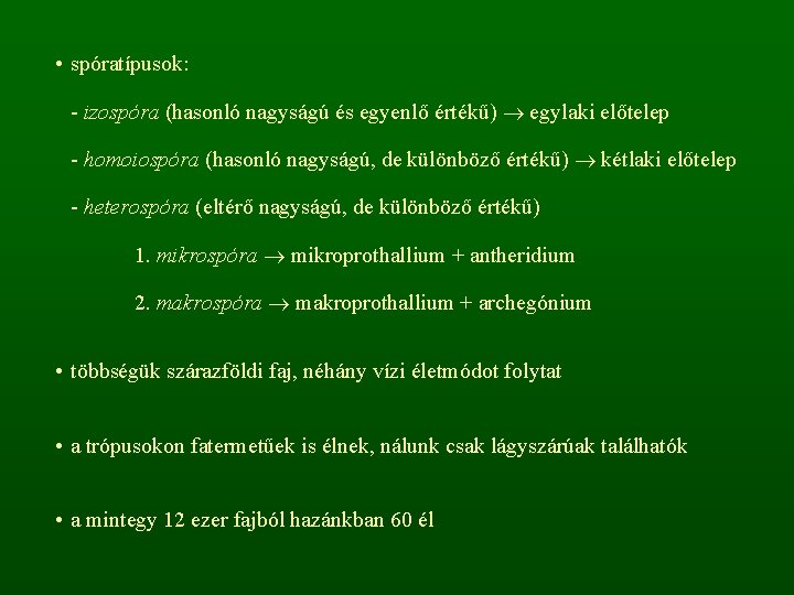  • spóratípusok: - izospóra (hasonló nagyságú és egyenlő értékű) egylaki előtelep - homoiospóra