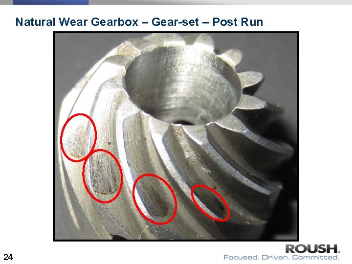 Natural Wear Gearbox – Gear-set – Post Run 24 Natural Wear Gearbox – Gear-set – Post Run 24