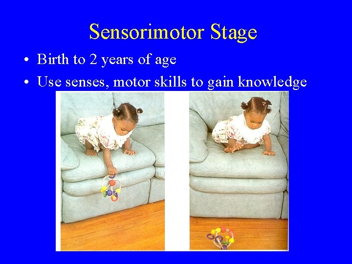 Sensorimotor Stage • Birth to 2 years of age • Use senses, motor skills