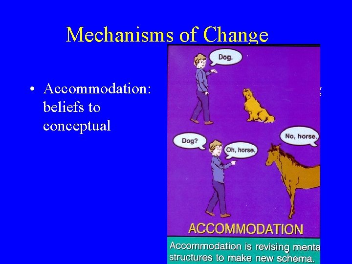 Mechanisms of Change • Accommodation: beliefs to conceptual changing fit new information Mechanisms of Change • Accommodation: beliefs to conceptual changing fit new information