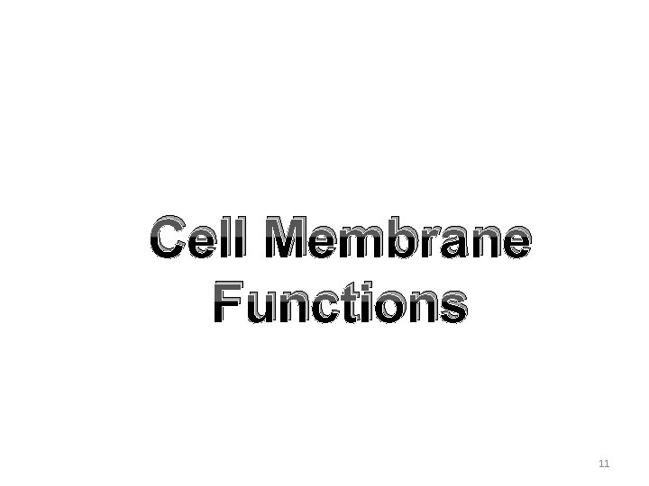Cell Membrane Functions 11 