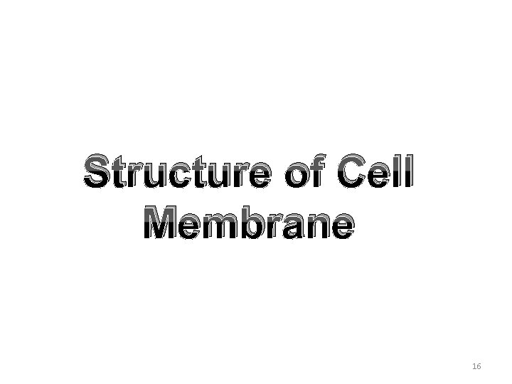 Structure of Cell Membrane 16 