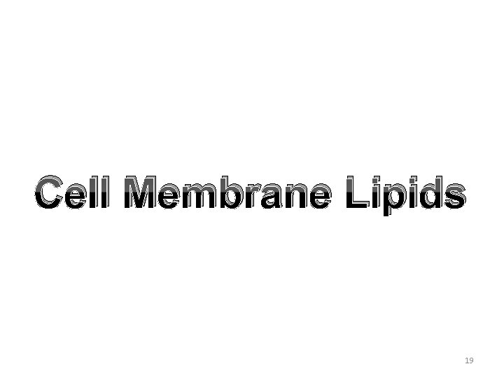 Cell Membrane Lipids 19 