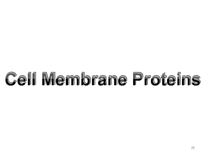 Cell Membrane Proteins 25 