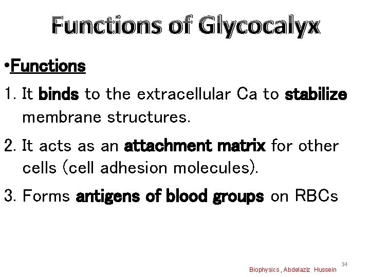 Functions of Glycocalyx • Functions 1. It binds to the extracellular Ca to stabilize