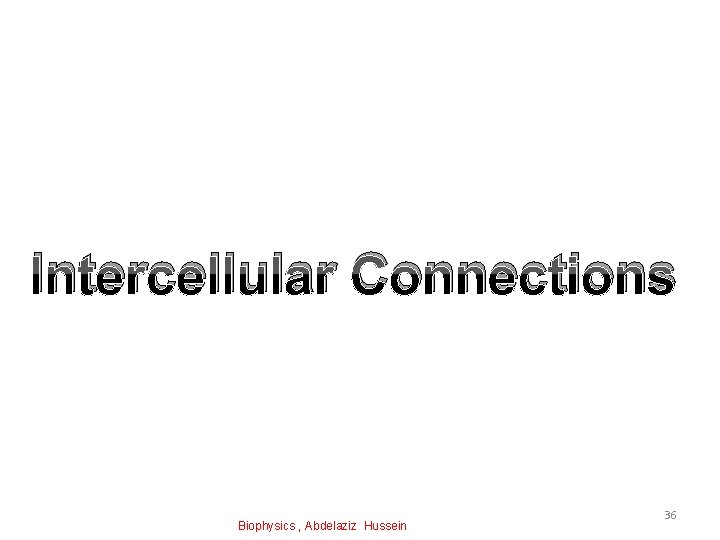 Intercellular Connections Biophysics , Abdelaziz Hussein 36 