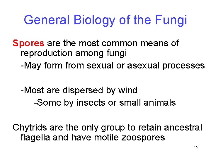 General Biology of the Fungi Spores are the most common means of reproduction among