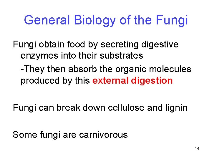 General Biology of the Fungi obtain food by secreting digestive enzymes into their substrates