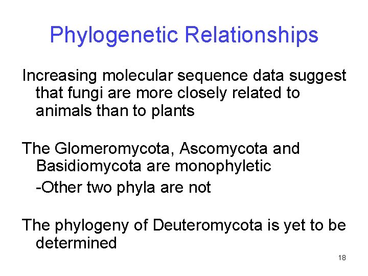 Phylogenetic Relationships Increasing molecular sequence data suggest that fungi are more closely related to