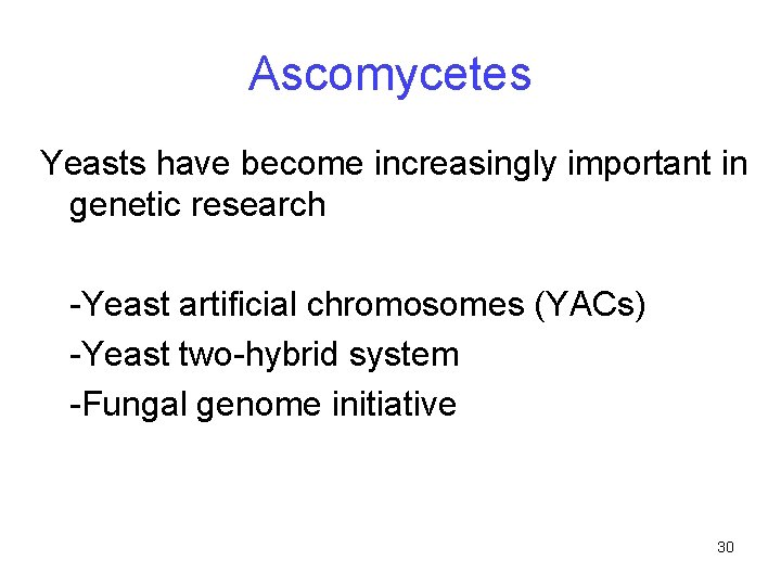 Ascomycetes Yeasts have become increasingly important in genetic research -Yeast artificial chromosomes (YACs) -Yeast