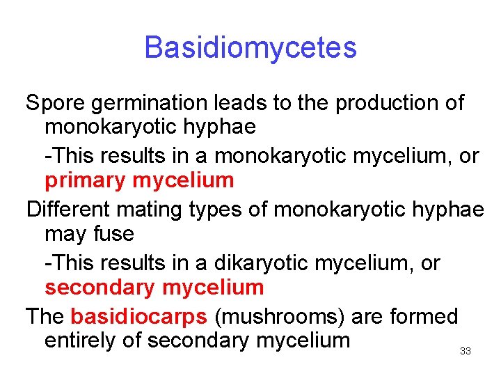 Basidiomycetes Spore germination leads to the production of monokaryotic hyphae -This results in a