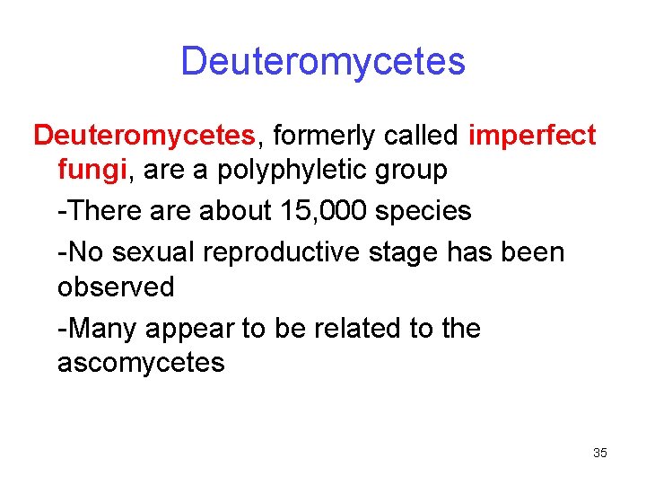 Deuteromycetes, formerly called imperfect fungi, are a polyphyletic group -There about 15, 000 species