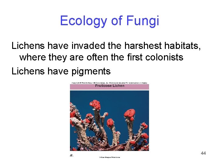 Ecology of Fungi Lichens have invaded the harshest habitats, where they are often the