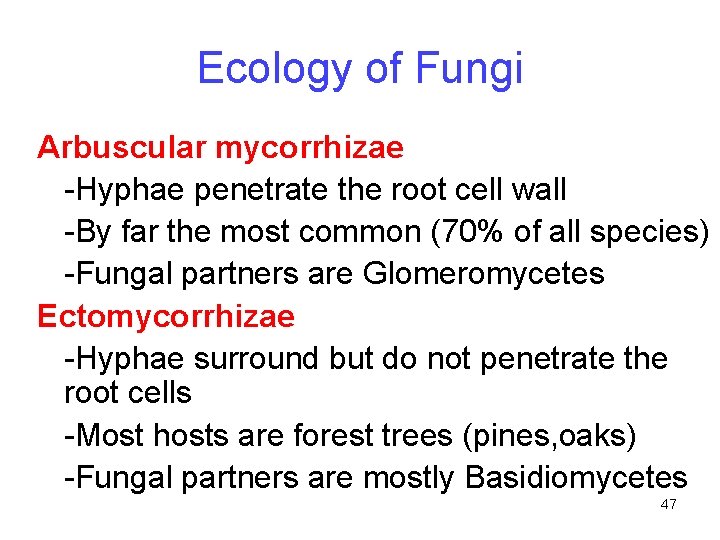 Ecology of Fungi Arbuscular mycorrhizae -Hyphae penetrate the root cell wall -By far the