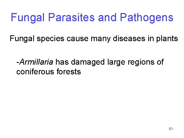 Fungal Parasites and Pathogens Fungal species cause many diseases in plants -Armillaria has damaged