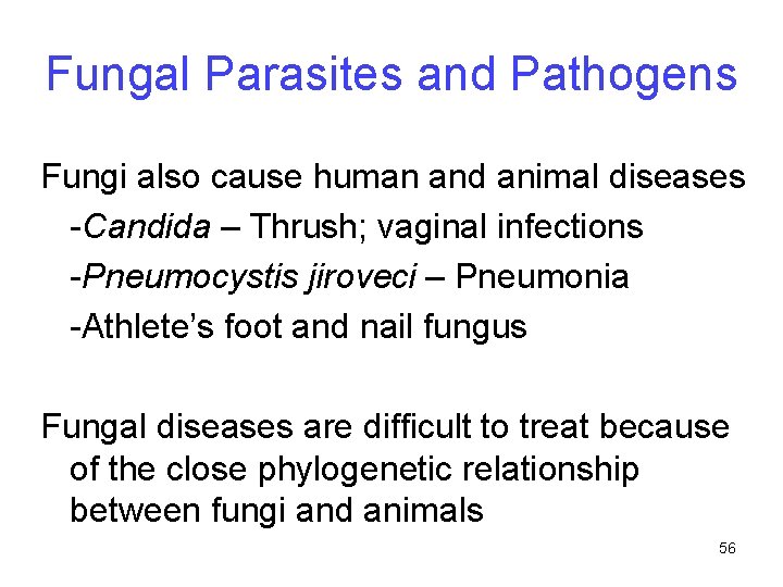 Fungal Parasites and Pathogens Fungi also cause human and animal diseases -Candida – Thrush;