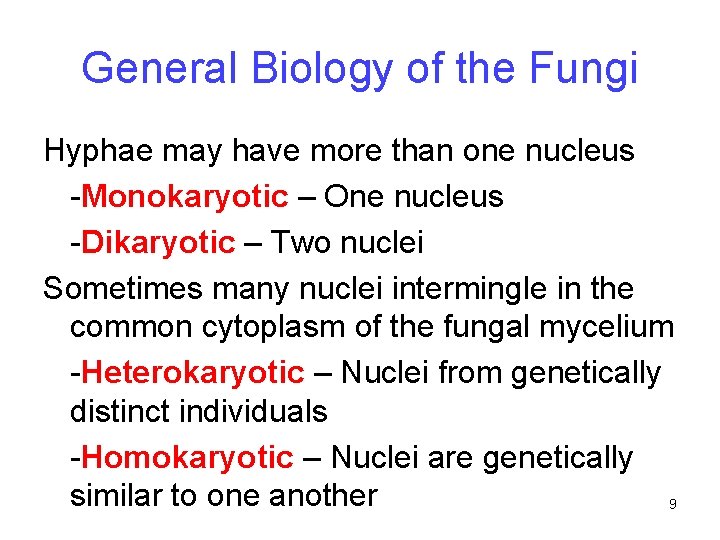 General Biology of the Fungi Hyphae may have more than one nucleus -Monokaryotic –