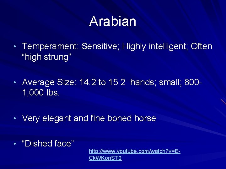 Arabian • Temperament: Sensitive; Highly intelligent; Often “high strung” • Average Size: 14. 2