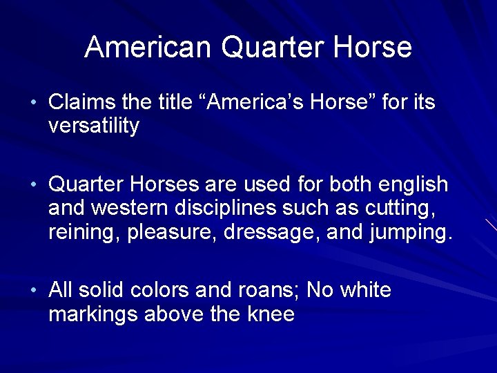 American Quarter Horse • Claims the title “America’s Horse” for its versatility • Quarter