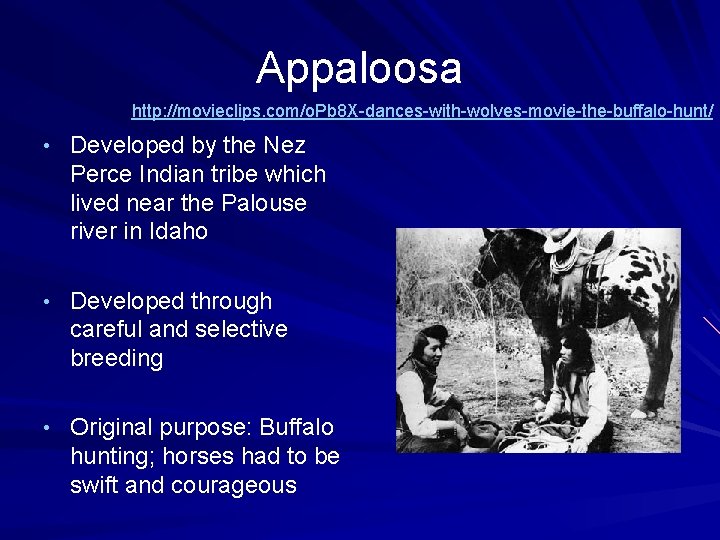 Appaloosa http: //movieclips. com/o. Pb 8 X-dances-with-wolves-movie-the-buffalo-hunt/ • Developed by the Nez Perce Indian