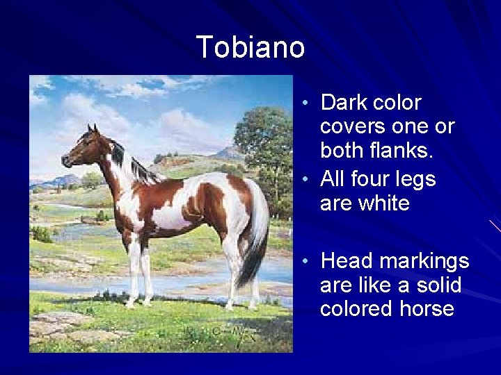 Tobiano • Dark color covers one or both flanks. • All four legs are