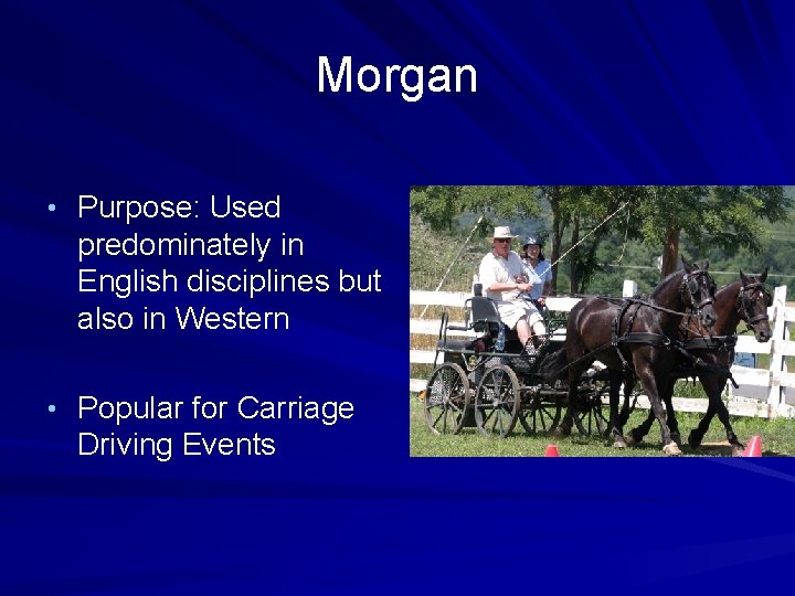 Morgan • Purpose: Used predominately in English disciplines but also in Western • Popular
