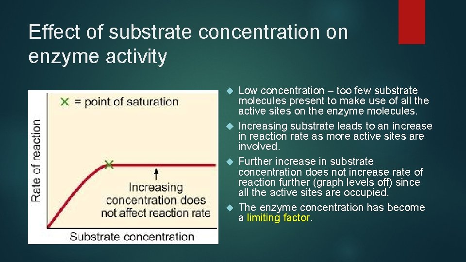 Effect of substrate concentration on enzyme activity Low concentration – too few substrate molecules