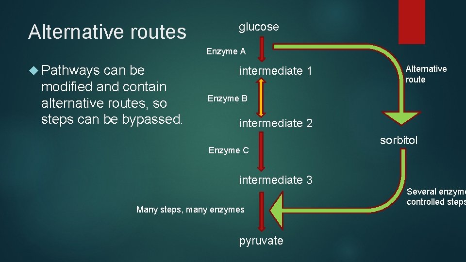 Alternative routes glucose Enzyme A Pathways can be modified and contain alternative routes, so