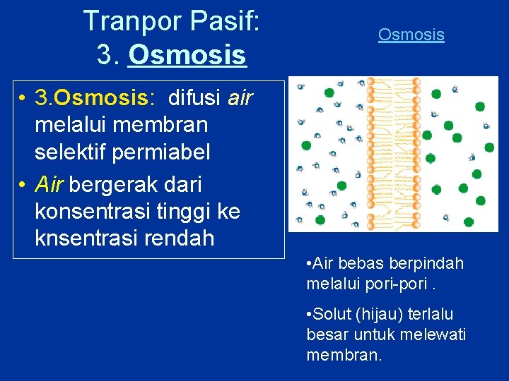 Tranpor Pasif: 3. Osmosis • 3. Osmosis: difusi air melalui membran selektif permiabel •