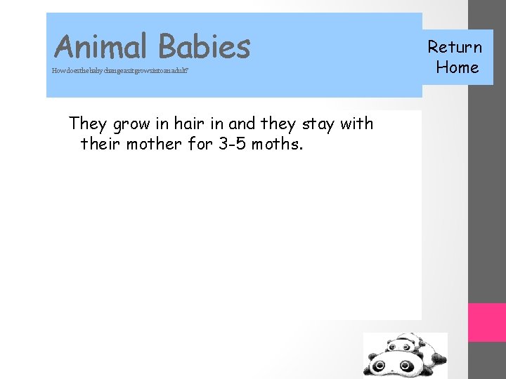 Animal Babies How does the baby change as it grows into an adult? They