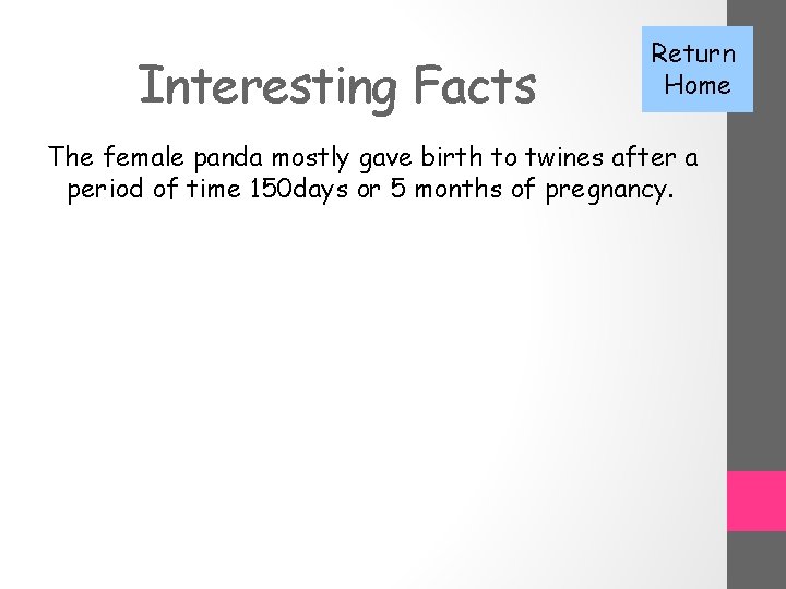 Interesting Facts Return Home The female panda mostly gave birth to twines after a