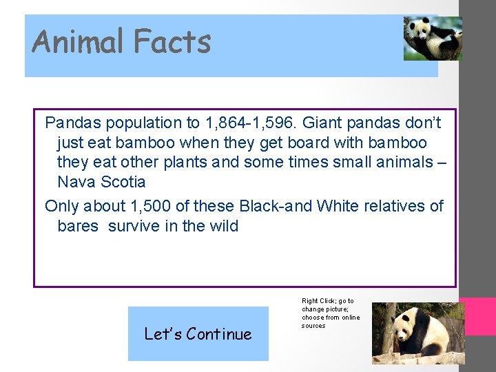 Animal Facts Pandas population to 1, 864 -1, 596. Giant pandas don’t just eat