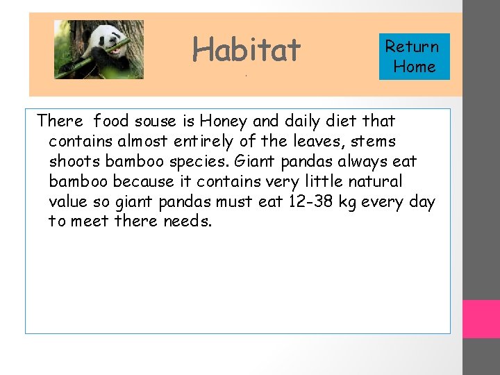 Habitat. Return Home There food souse is Honey and daily diet that contains almost