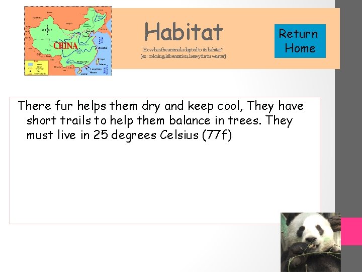 Habitat How has the animal adapted to its habitat? (ex: coloring, hibernation, heavy fur