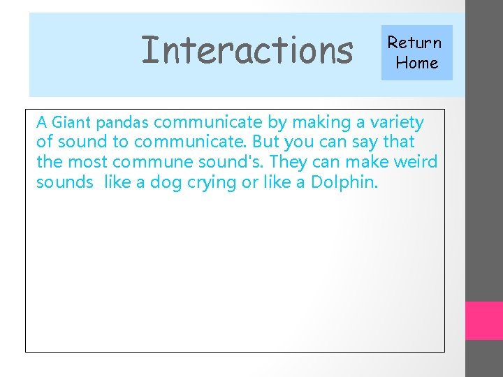 Interactions Return Home A Giant pandas communicate by making a variety of sound to