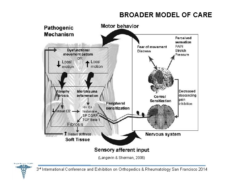 BROADER MODEL OF CARE (Langevin & Sherman, 2006) 3 rd International Conference and Exhibition