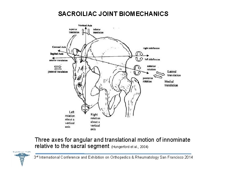 SACROILIAC JOINT BIOMECHANICS Three axes for angular and translational motion of innominate relative to