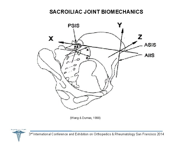 SACROILIAC JOINT BIOMECHANICS (Wang & Dumas, 1998) 3 rd International Conference and Exhibition on
