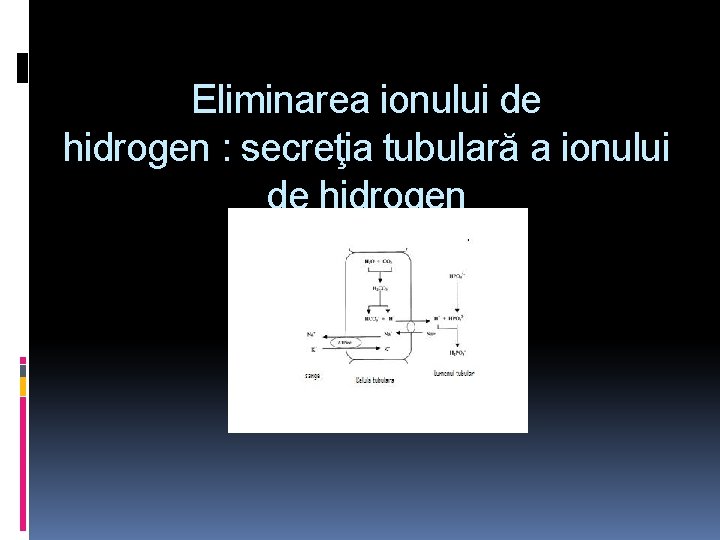 Eliminarea ionului de hidrogen : secreţia tubulară a ionului de hidrogen 