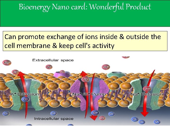 Bioenergy Nano card: Wonderful Product Can promote exchange of ions inside & outside the