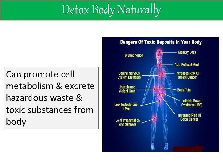 Detox Body Naturally Can promote cell metabolism & excrete hazardous waste & toxic substances