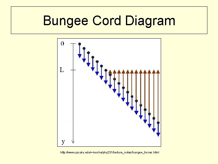 Bungee Cord Diagram http: //www. pa. uky. edu/~moshe/phy 231/lecture_notes/bungee_forces. html 