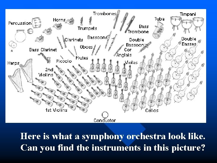 Here is what a symphony orchestra look like. Can you find the instruments in