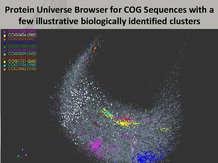 Protein Universe Browser for COG Sequences with a few illustrative biologically identified clusters 29