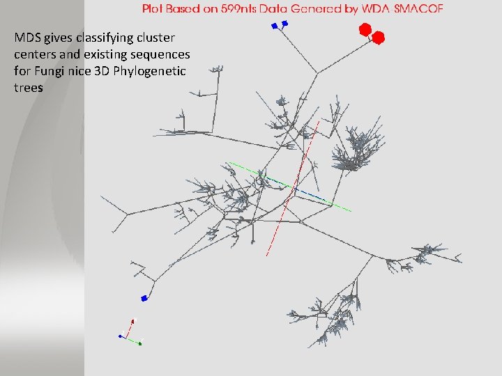 MDS gives classifying cluster centers and existing sequences for Fungi nice 3 D Phylogenetic