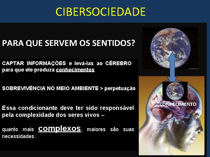 CIBERSOCIEDADE PARA QUE SERVEM OS SENTIDOS? CAPTAR INFORMAÇÕES e levá-las ao CÉREBRO para que
