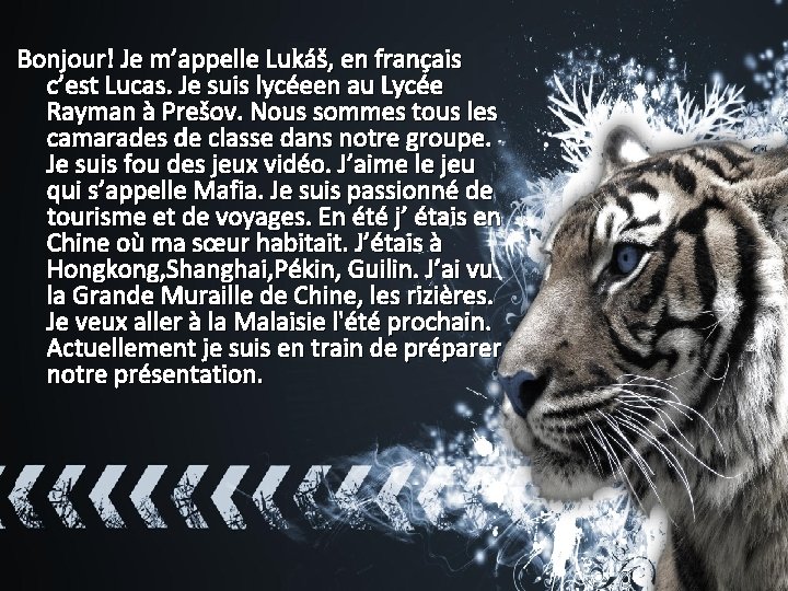 Bonjour! Je m’appelle Lukáš, en français c’est Lucas. Je suis lycéeen au Lycée Rayman
