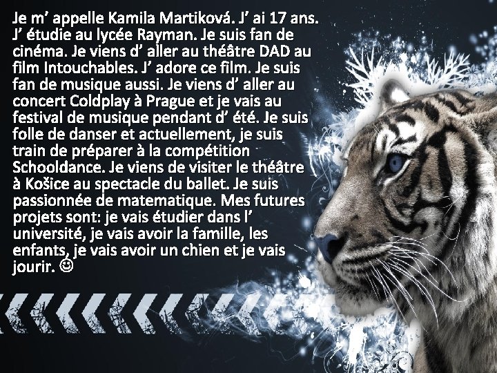 Je m’ appelle Kamila Martiková. J’ ai 17 ans. J’ étudie au lycée Rayman.