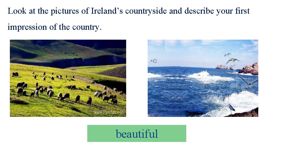 Look at the pictures of Ireland’s countryside and describe your first impression of the